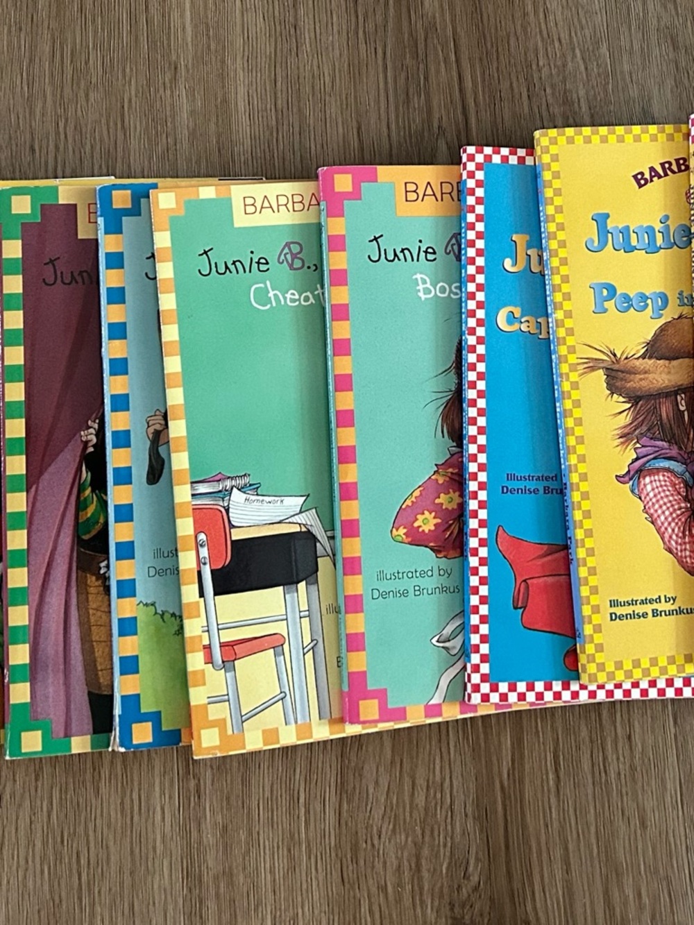 Junie B Jones Book Collection Girls Summer Beach Reading 14-16, 19, 21-25 plus 2